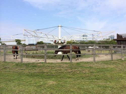 上海灣首屆戶外運動節暨2023海灣紅葉節周邊游玩攻略